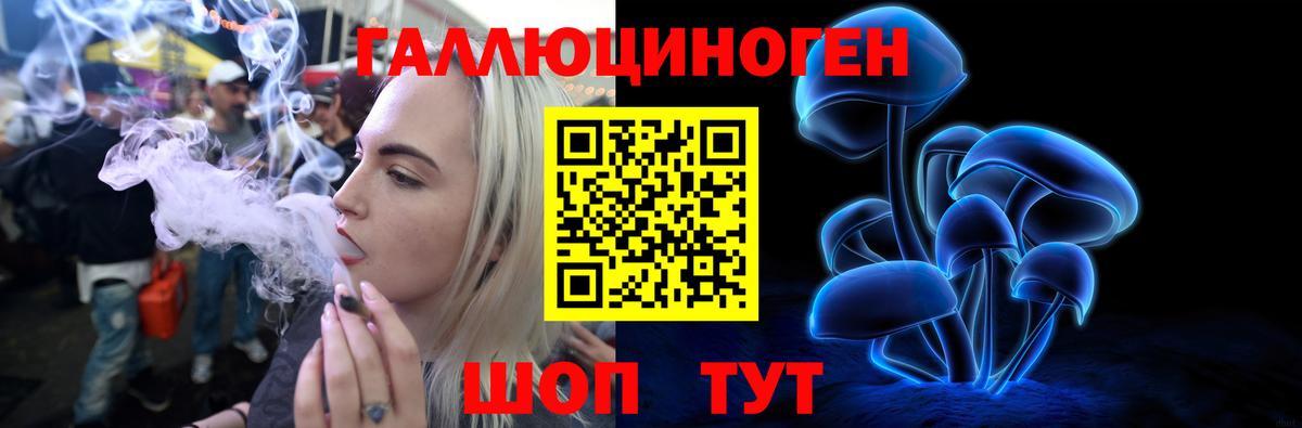 Галлюциногенные грибы Psilocybine cubensis Кинель